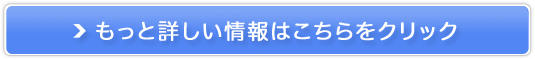 T[iuA}fBt[U[EA}ICv̔TCg